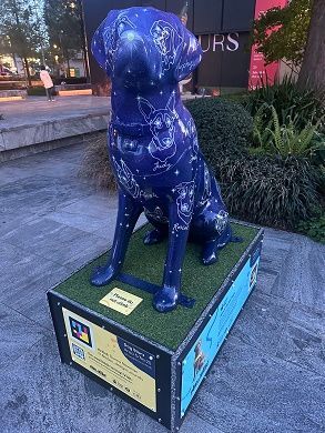 Spot the Dog. Dog Stars. This beauty is number 25 in a trail around Canary Wharf that will introduce you to 24 more decorated guide dog statues. Do try to get to see them from now until 17 May. @besttubeto Canary Wharf for Paws on the Wharf. buff.ly/4afnWqt