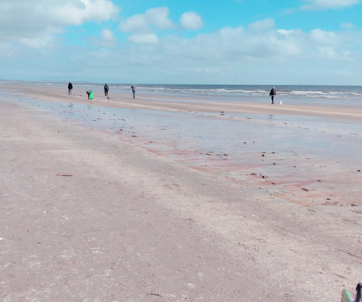 Today marks the last day of #SpringClean24 and we can't wait to hear all about how this year's campaign went. In the meantime, we want to say a big thank you to all the #CleanCoasts group who joined the initiative, like Laytown Bettystown Youthreach. Well done!