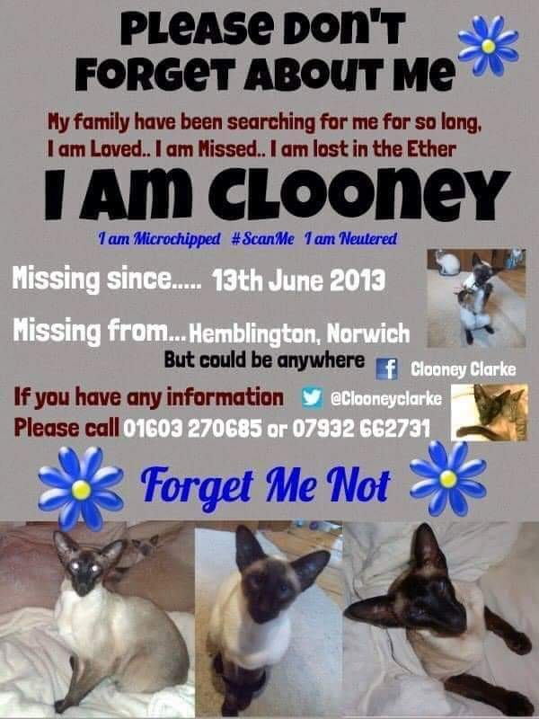 @MissingPetsGB Another pet their family being let down by microchipping system 🐈 #ClooneyClarke's chip was read by 2 different vets but neither contacted his family & he's still missing This is Clooney's story ⬇️ pettheft.org.uk/stolen-cat-clo… 🙏HAVE YOU SEEN CLOONEY CLARKE ⁉️ #MissingNeverHeals 💔