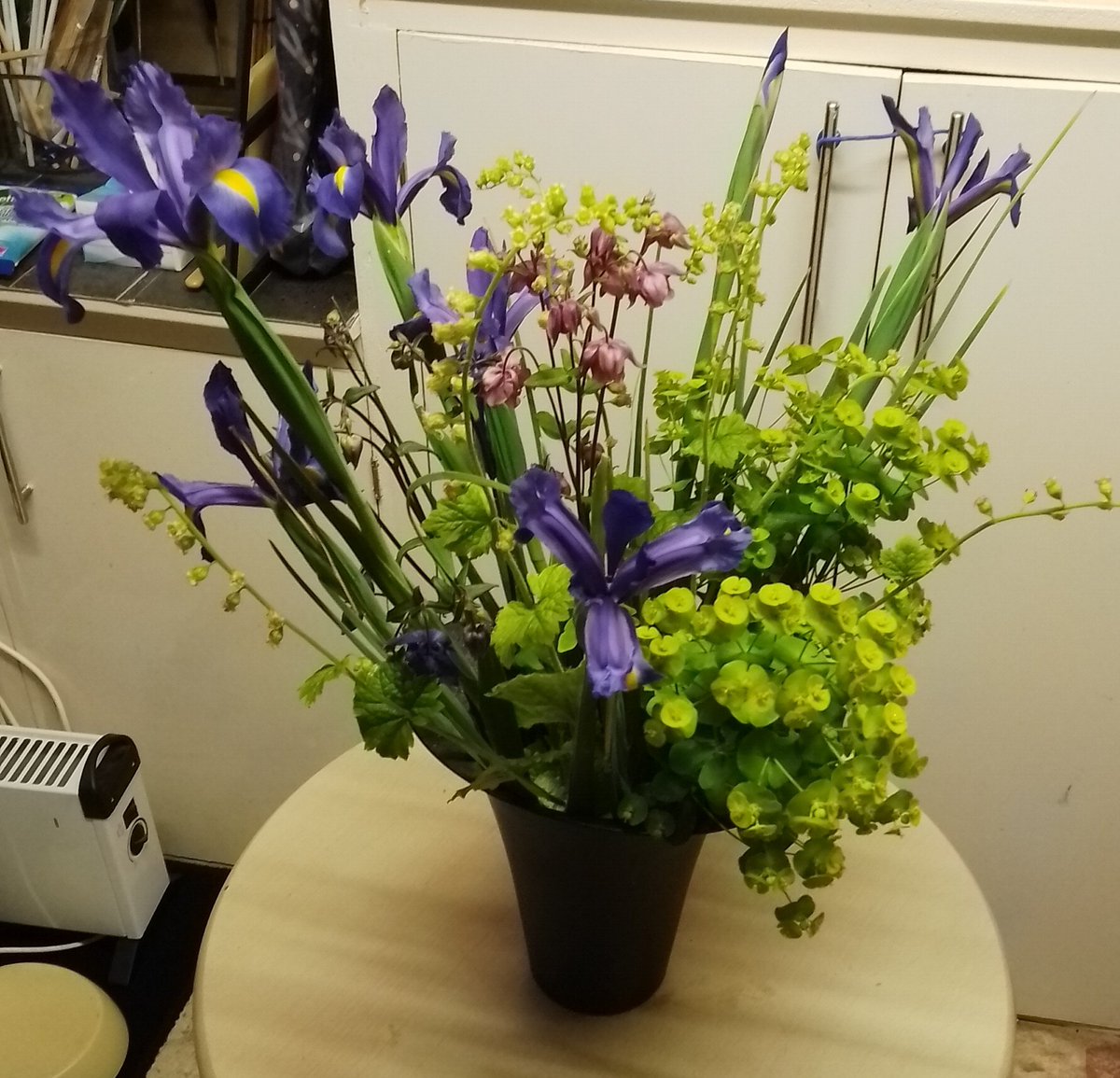 A bucket of flowers from t'allotment today 💐💐💐