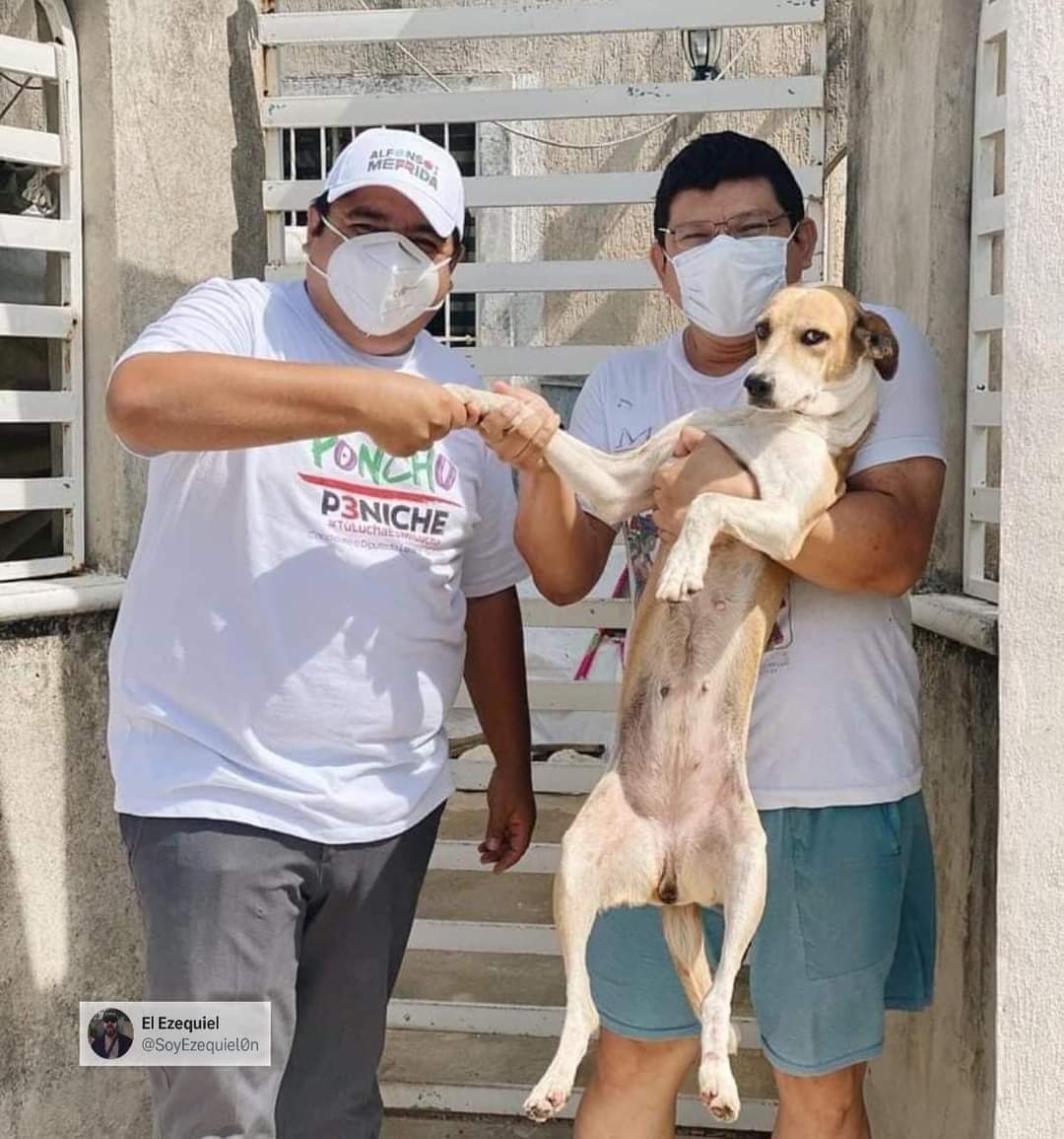 PeatonVigilante's tweet image. Ya ni los #Lomitos les creen 😂