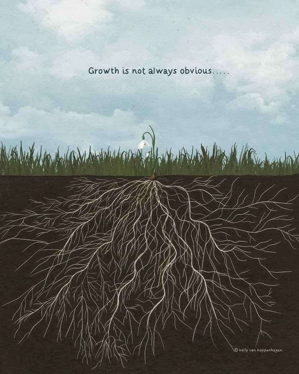 YOU don’t always see another’s growth and THEY may not always see YOURS…
Carry on…
#itsyourjourney
#growthjourney
#SpiritualGrowth
#spiritualjourney
#spiritualcheerleader