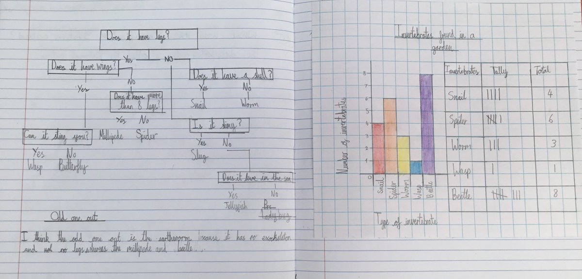 In Science Y6 we were creating classification keys and charts to show invertebrates spotted on a minibeast hunt 🐞🐛🪲 and in Maths they were scratching their heads calculating the Mean of tricky data sets 🧠🤯 Well done Y6 you are amazing 🤩😍🤩