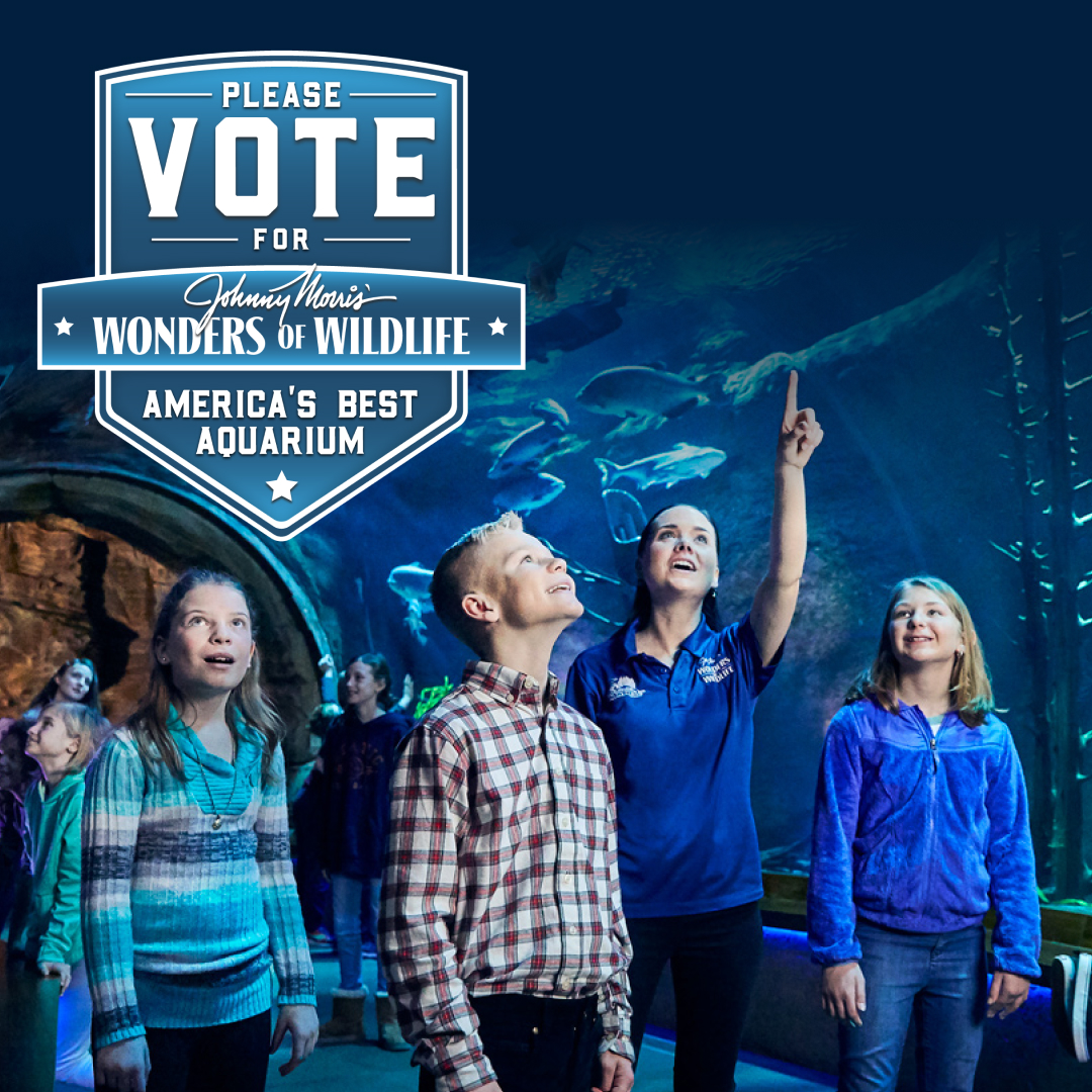 Wonders of Wildlife has been nominated for America's Best Aquarium! Please help us bring home one more win for conservation by casting your vote today and every day through May 13th at the link below! bit.ly/3QlTpji