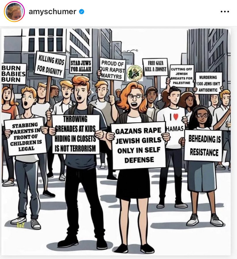 For those who may not remember what Amy Schumer was posting a few months ago in regards to Gaza, here's one example of many. You can decide for yourself whether people were right to take issue with her framing.