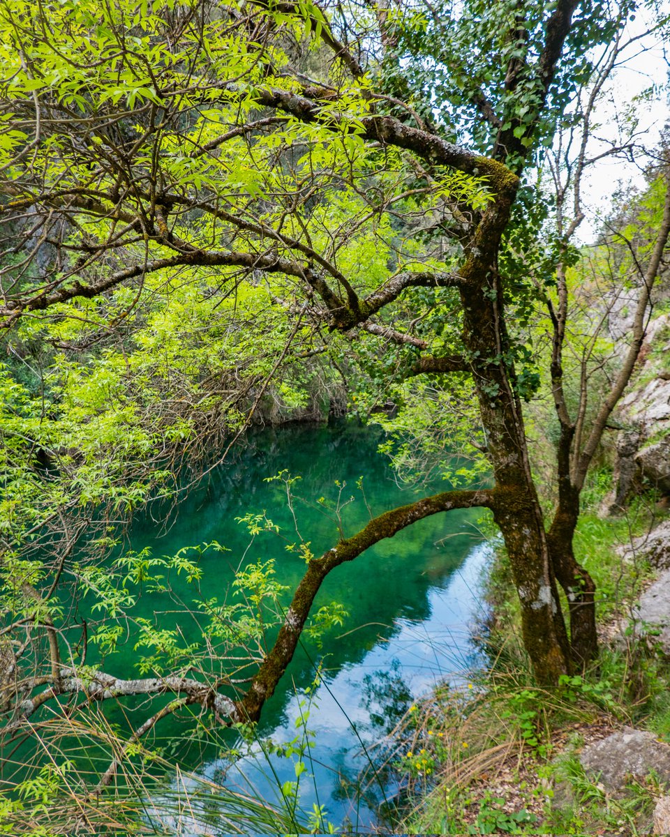 Río Guadalquivir (Sierra de Cazorla, Jaén) #naturaleza #nature #NaturePhotography #cazorla #parquenaturaldecazorlaseguraylasvillas #sierradecazorla #paisaje #landscape #reflejos #reflections #guadalquivir #rio #river