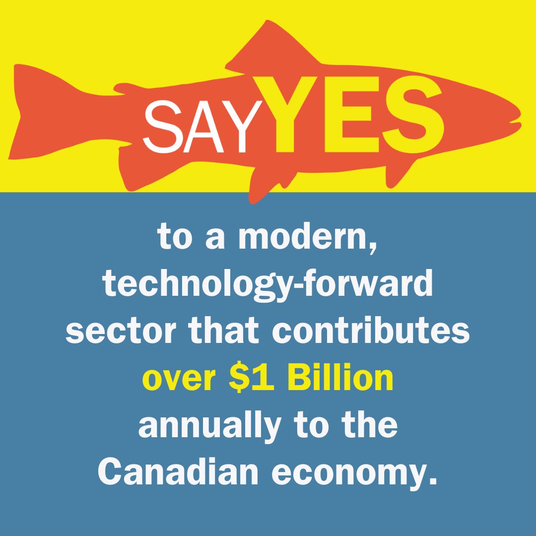 In 2020, Canada’s aquaculture sector was valued at $1.04 billion in direct output. When you factor in indirect and direct impacts, along with processing activities, output was over $3.8 billion. SAY YES to salmon farming in BC: app.goadvocate.ca/en/campaigns/s… #cdnpoli #lovecdnsalmon