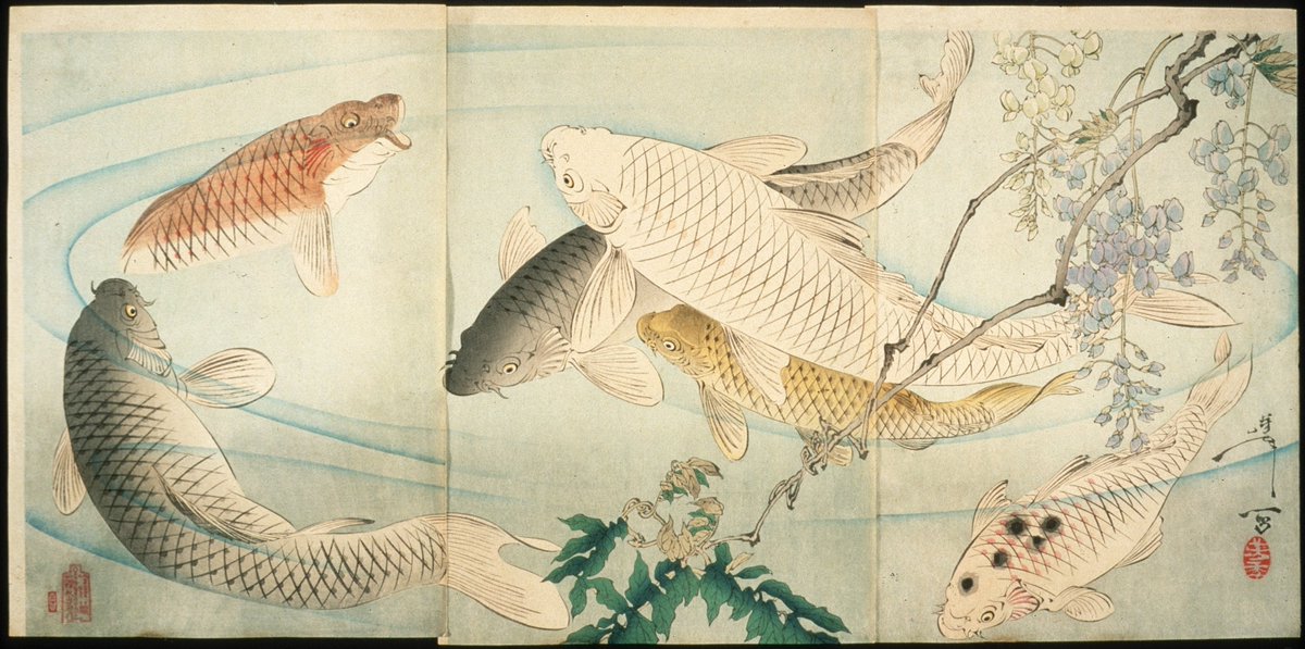 Today’s artwork celebrates the birthday of Yoshitoshi 🎈

The Japanese printmaker, widely recognized as the last great master of the ukiyo-e genre of woodblock printing and painting, was born on this day in 1839.

Carp with Wisteria
🎨 Yoshitoshi
📅 1889
🏛️ @lacma
