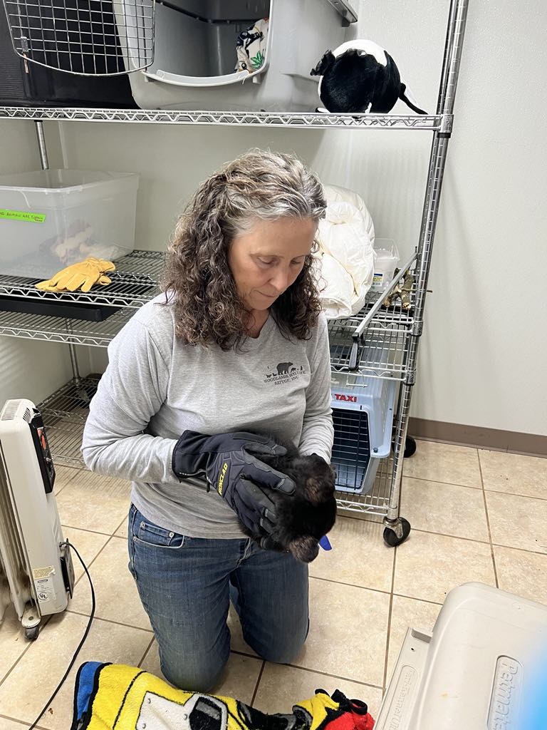 GUESS WHO!? Intake number 661 has just arrived... can you guess what species? Stay tuned, the next photo will be posted today at 3pm and the final answer will be revealed at 6pm!