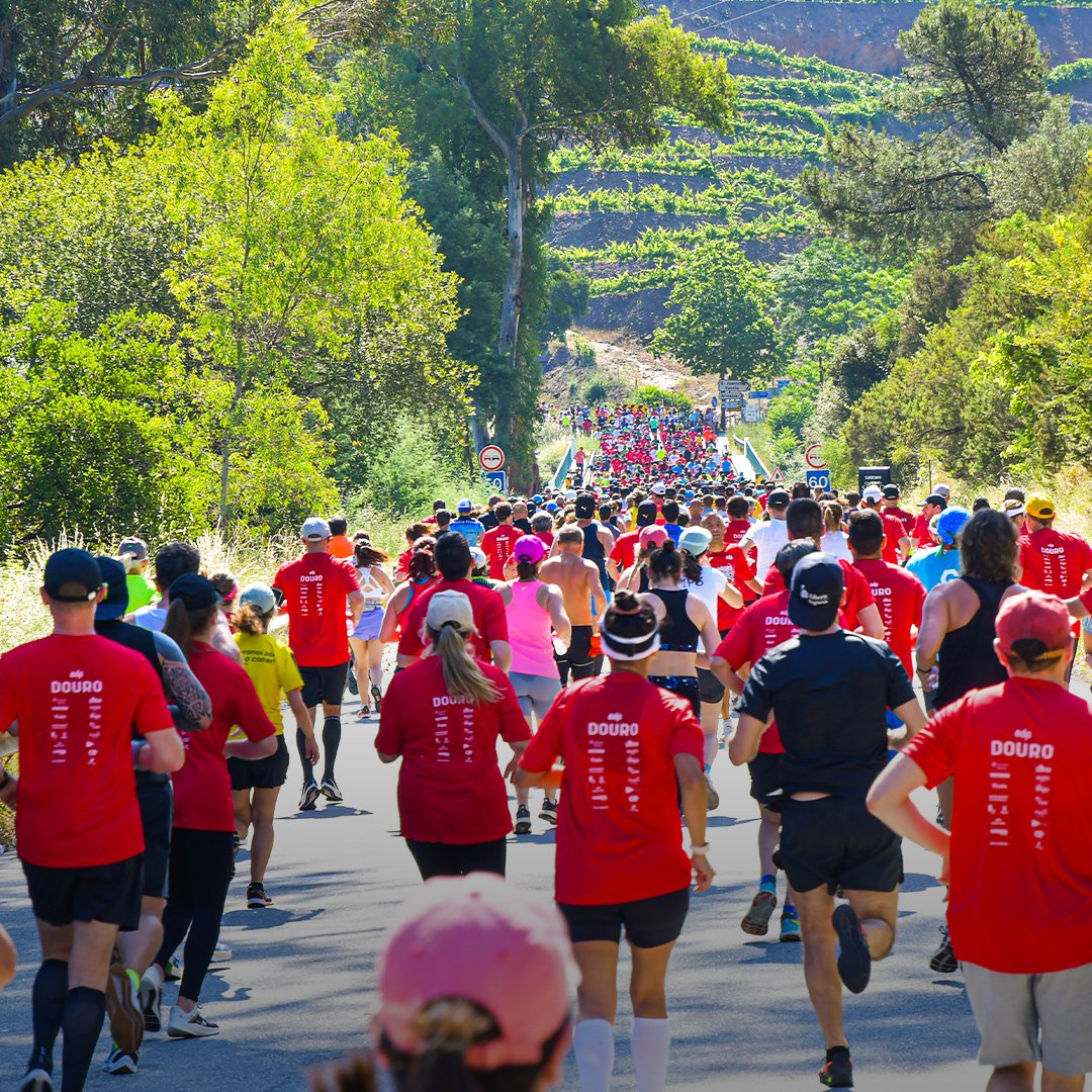 Are you visiting Porto and North of Portugal? Great, so start running and grab your spot on the Douro Half Marathon, on May 26th! The Douro Valley provides the perfect setting for the race, which is considered the 'most beautiful race in the world'. 📸 Ricardo Maia/Global Sport