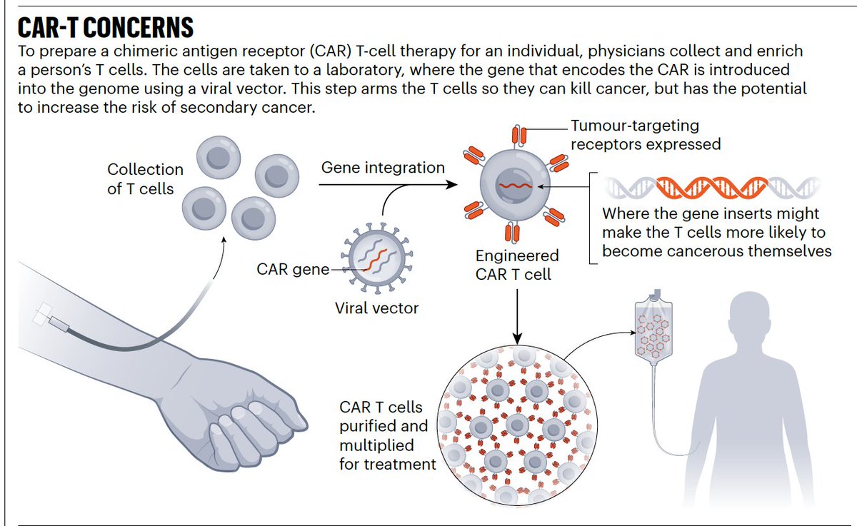 On the link between engineered T-cells (CAR T) and secondary cancers: ~30 cases reported among 30,000 people treated nature.com/articles/d4158… @Nature @cwillyard