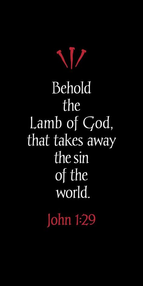 John 1:29 The next day John seeth Jesus coming unto him, and saith, Behold the Lamb of God, which taketh away the sin of the world.,