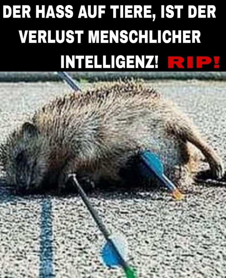 WIE WAHR!😪 RIP!🕯
VIEL HÄRTERE STRAFEN FÜR TIERQUÄLER! 

change.org/haertere_straf…