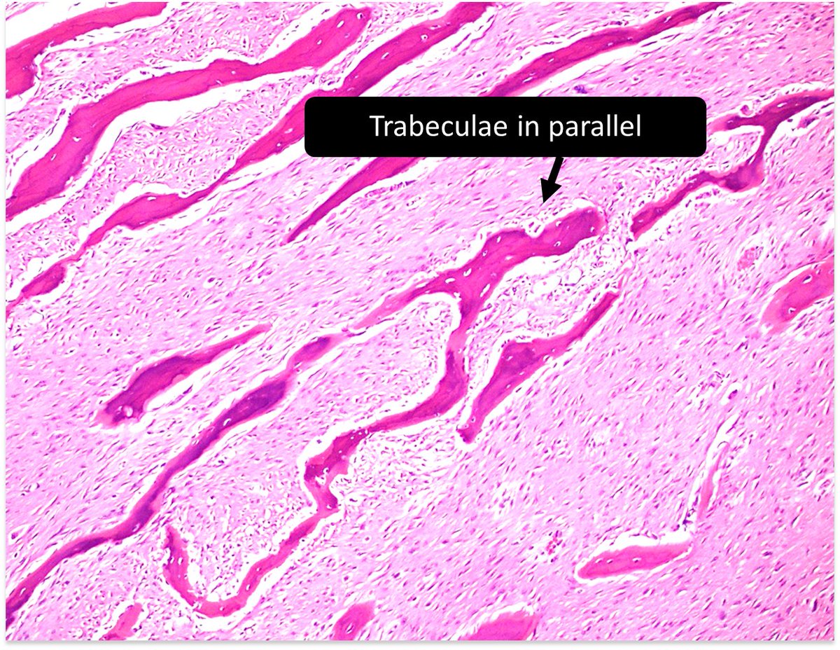 DrCycloPath tweet picture