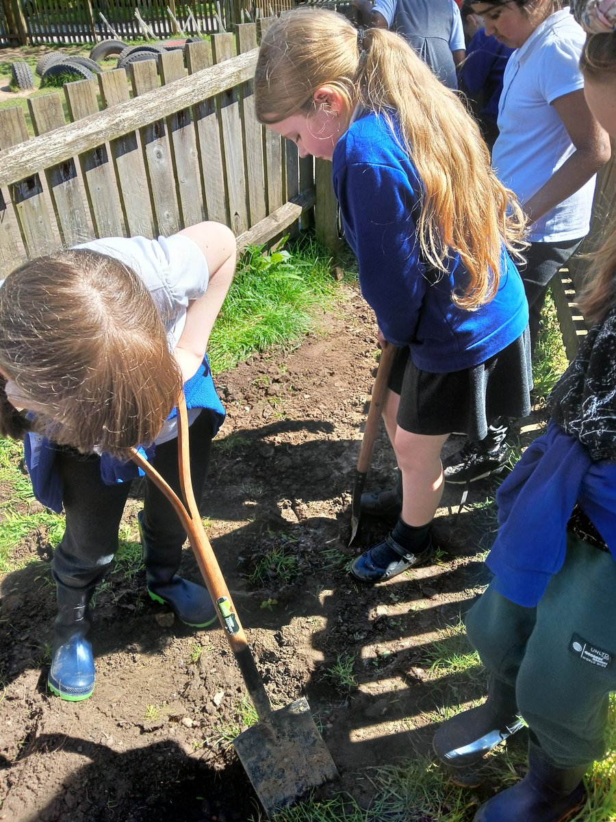 Great session at @MontroseSchool today making a wildflower patch and planting some flowers as part of our @wwf_uk wildlife friendly schools project! #AirWick @ThisIsReckitt