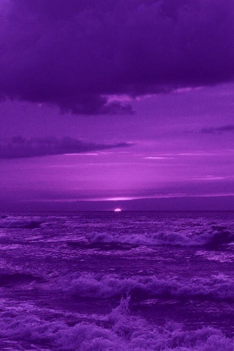 interactive tweet, reply with "🐘"  
I got purple 💜 📷 

-Character  
-Food  
-Flower  
- Aesthetic

#mavrorodo