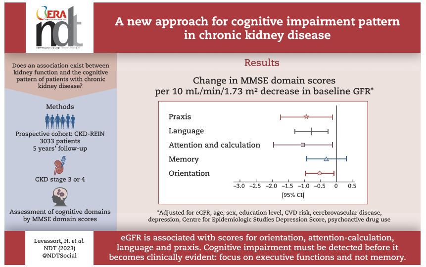 A new approach for cognitive impairment pattern in CKD doi.org/10.1093/ndt/gf… Early detection of neurocognitive disorders must be performed before clinically cognitive decline using preferably tests assessing executive, attentional functions & language rather than memory tests