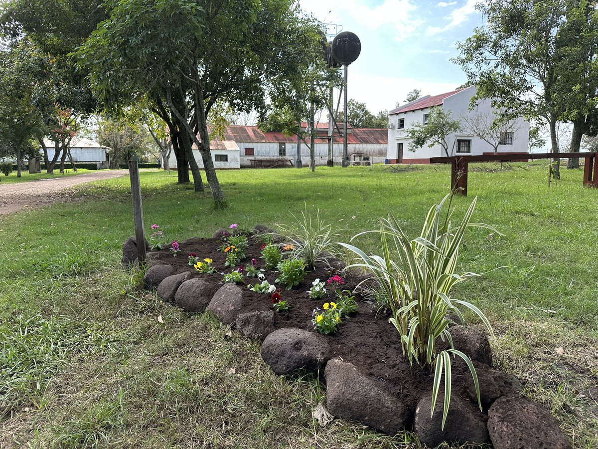 Empezamos a incorporar flores al parque de la EEFAS

Trabajando en el parque del casco en mantenimiento y también en recambio de árboles 
Se vienen más novedades 😁