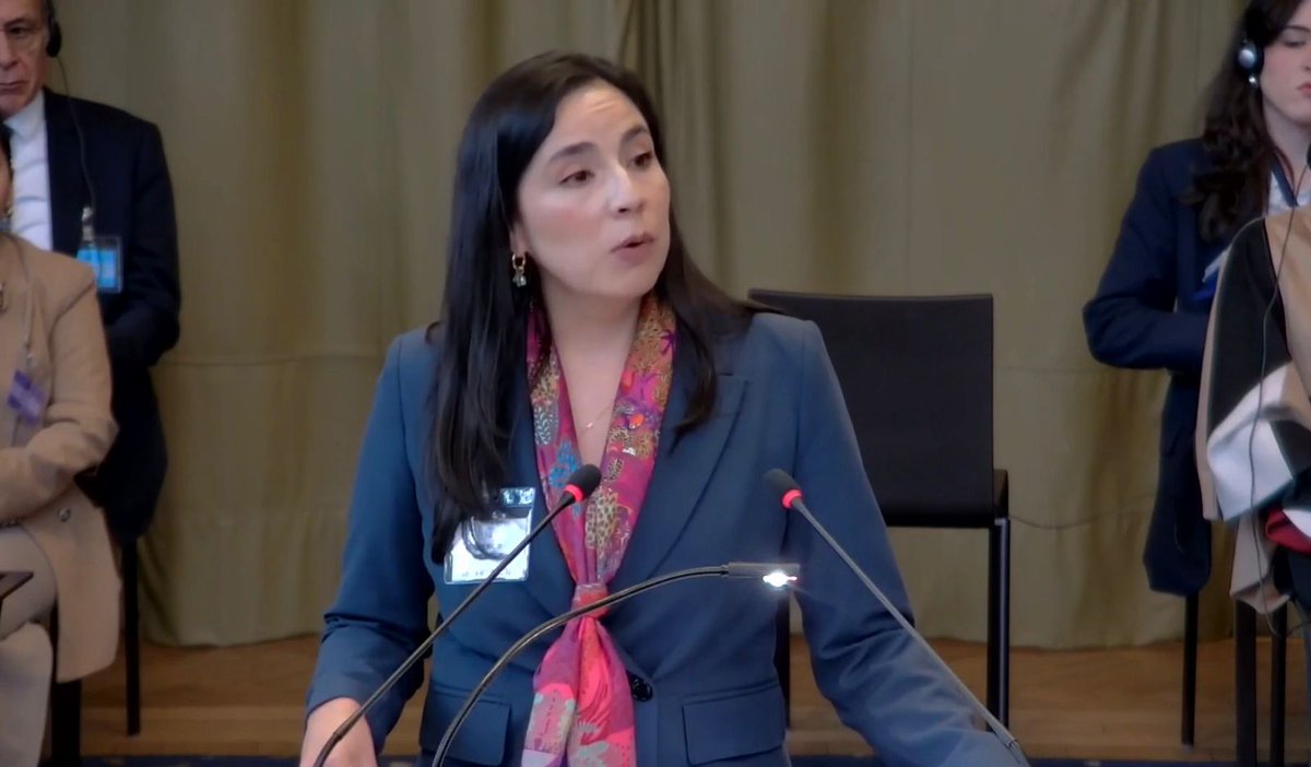 El día de hoy <a href="/FadiaIN/">Fadia Ibrahim</a> y <a href="/LOlivaBernal/">Liliana Oliva Bernal</a> representaron a México 🇲🇽 ante la <a href="/CIJ_ICJ/">CIJ_ICJ</a>.
Gran ejemplo de dos brillantes abogadas mexicanas🤍✨
¡No puedo del orgullo de llamarlas amigas!