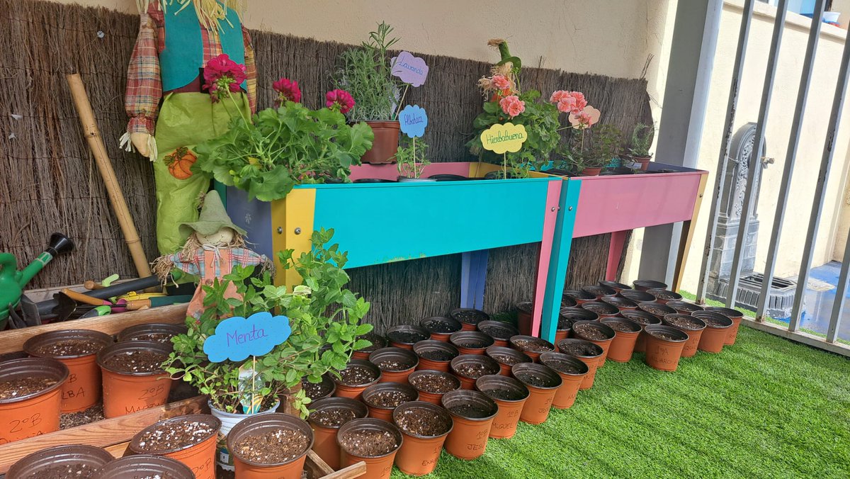 M_INMACULADA_AB's tweet photo. 1° y 2° de primaria llevamos a cabo la celebración del aprendizaje de nuestro proyecto Plant`s Party. 🌺💐🌼
¡¡¡ Qué bien lo hemos pasado !!!

#ColegiosHHCC
#AprendizajePorProyectos
#CelebracionDelAprendizaje https://t.co/qViYlUwIGv