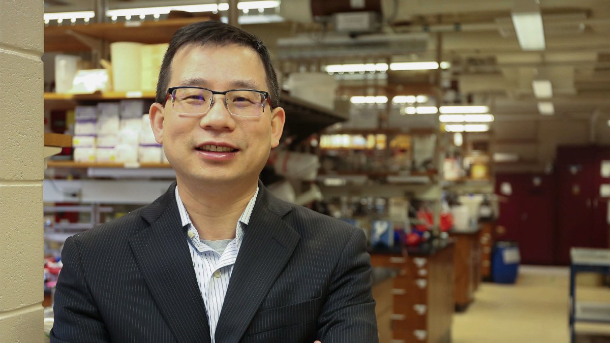 Purdue College of Science announces new head of the Department of Chemistry. Professor Jianguo Mei joined #Purdue as an assistant professor in 2014 and was promoted to full professor in 2023. @PurdueChemistry #Purdue #Science #Chemistry #MyGiantLeap bit.ly/3y8k3WD