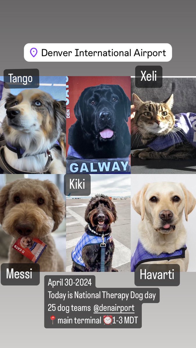 April 30-2024 
Today is National Therapy Dog day 25 dog teams  @DENAirport #dencats  
📍main terminal ⏰1-3 MDT