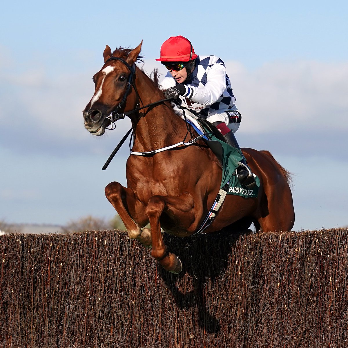 Banbridge breaks the heart of Captain Guinness in the William Hill Champion Chase at Punchestown!