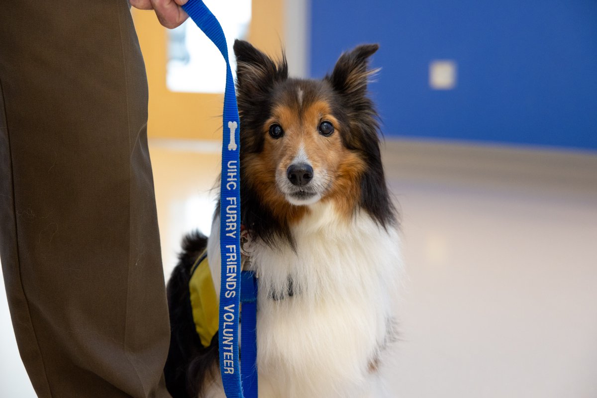 Therapy animals that visit our hospital bring comfort, joy, and healing to all who need it. Thank you for your unconditional love and support. 🐾💛 #TherapyAnimalDay