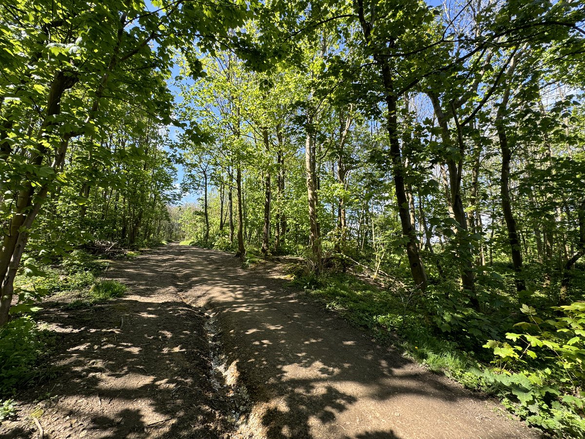 Paul Linnet tweet media