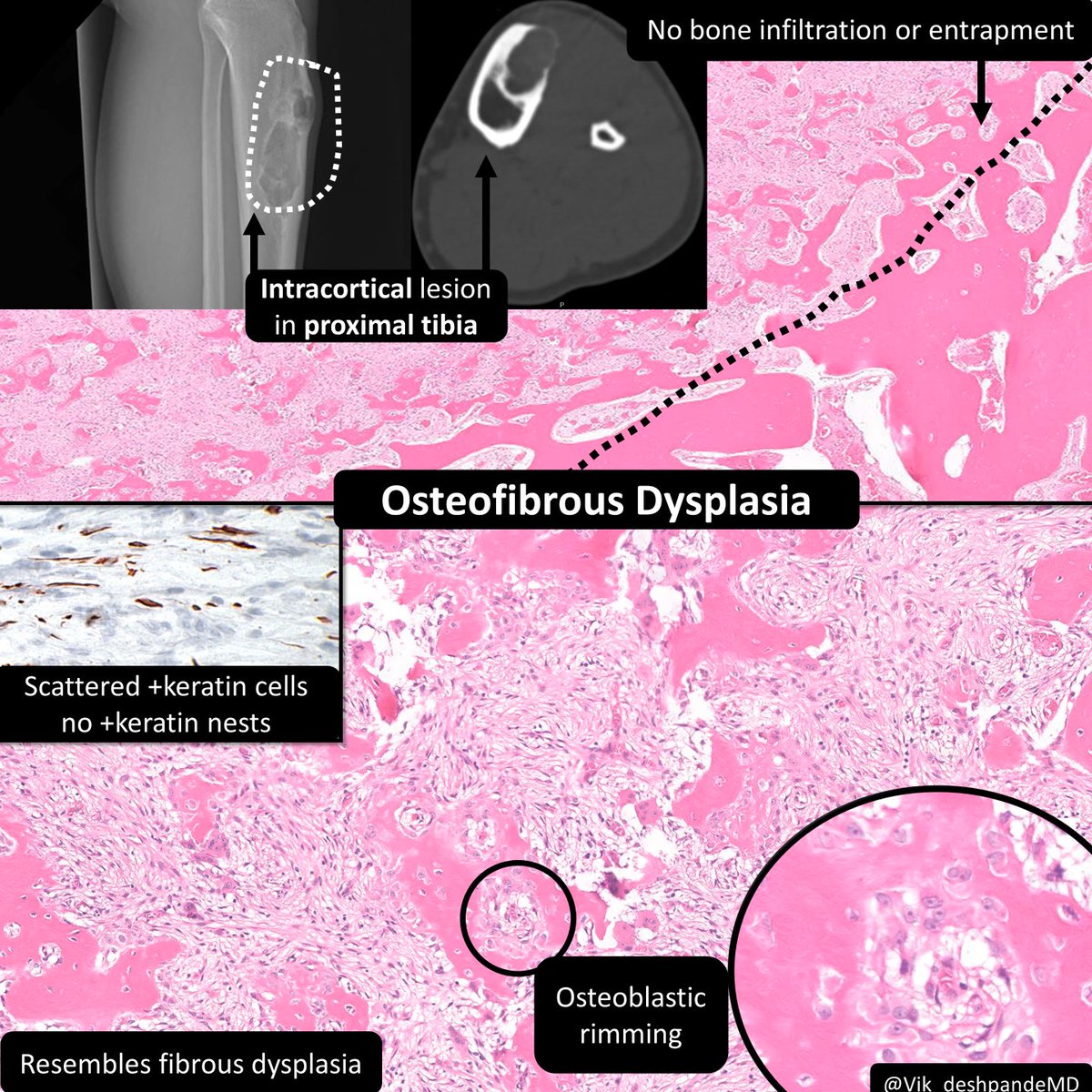 DrCycloPath tweet picture