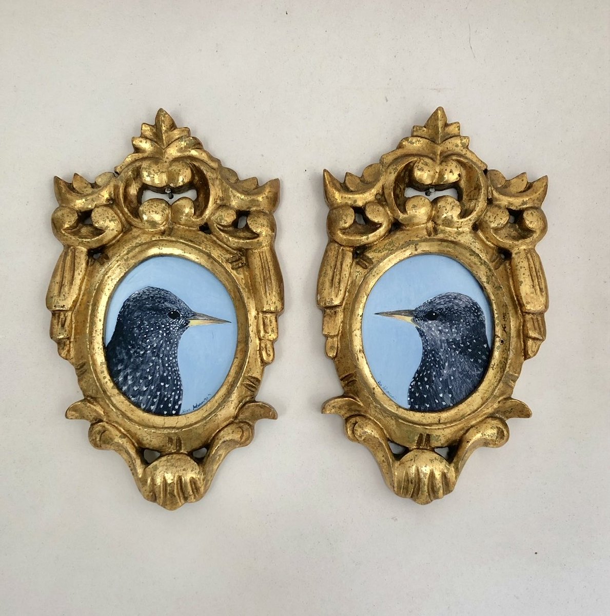 Available in tomorrow’s studio sale. Painted on wood panels in ornate carved vintage/antique gilt wood frames. A pair of starlings