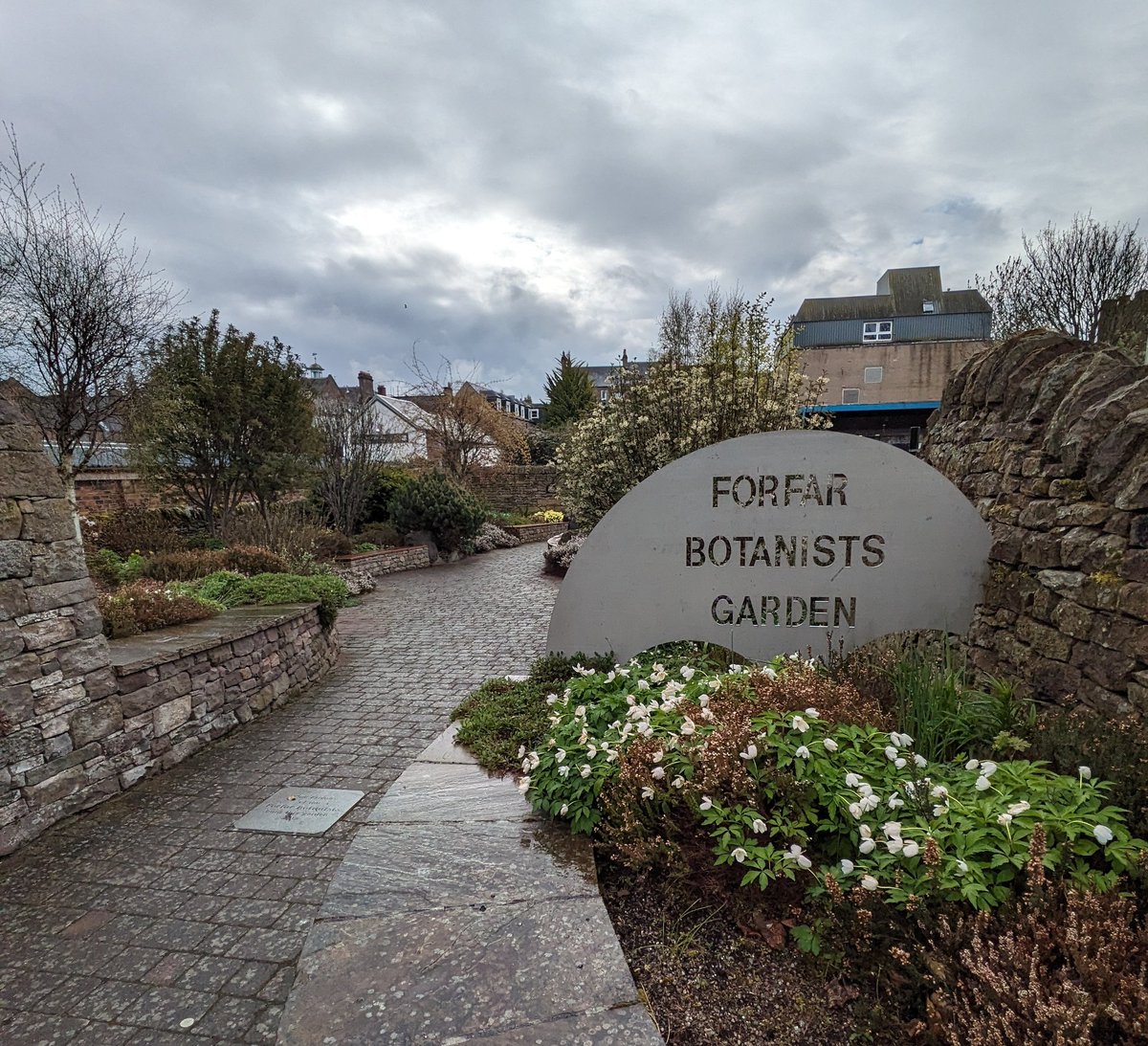 Always nice to visit the Forfar Botanists Garden to see how it's maturing since I designed it back in 2013. 
#scottishgardens #gardendesigner #gardendesign #forfar #angus