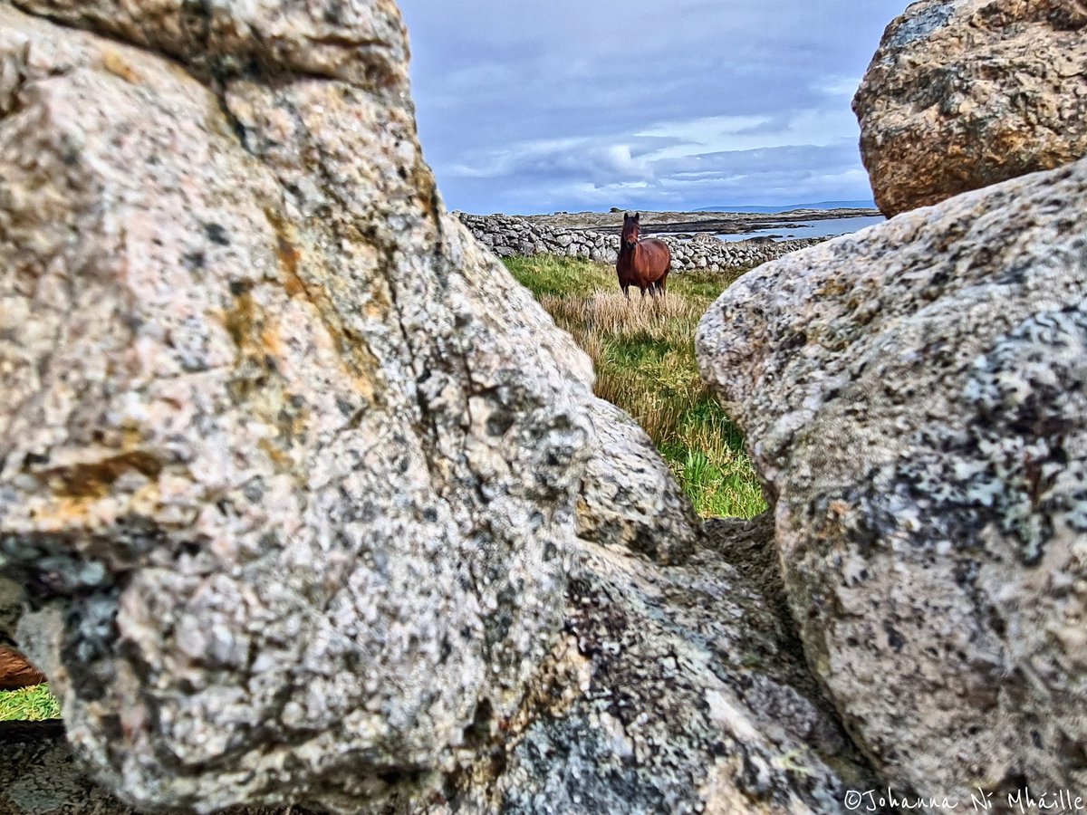 Tismeáin, An Cheathrú Rua 📷🐎💙 . . . @AimsirTG4 @AranConnemara @ConnemaraIe @deric_tv @DiscoverIreland @galwaytourism @GoToIrelandUS @Independent_ie @MetEireann @wildatlanticway @WAWHour