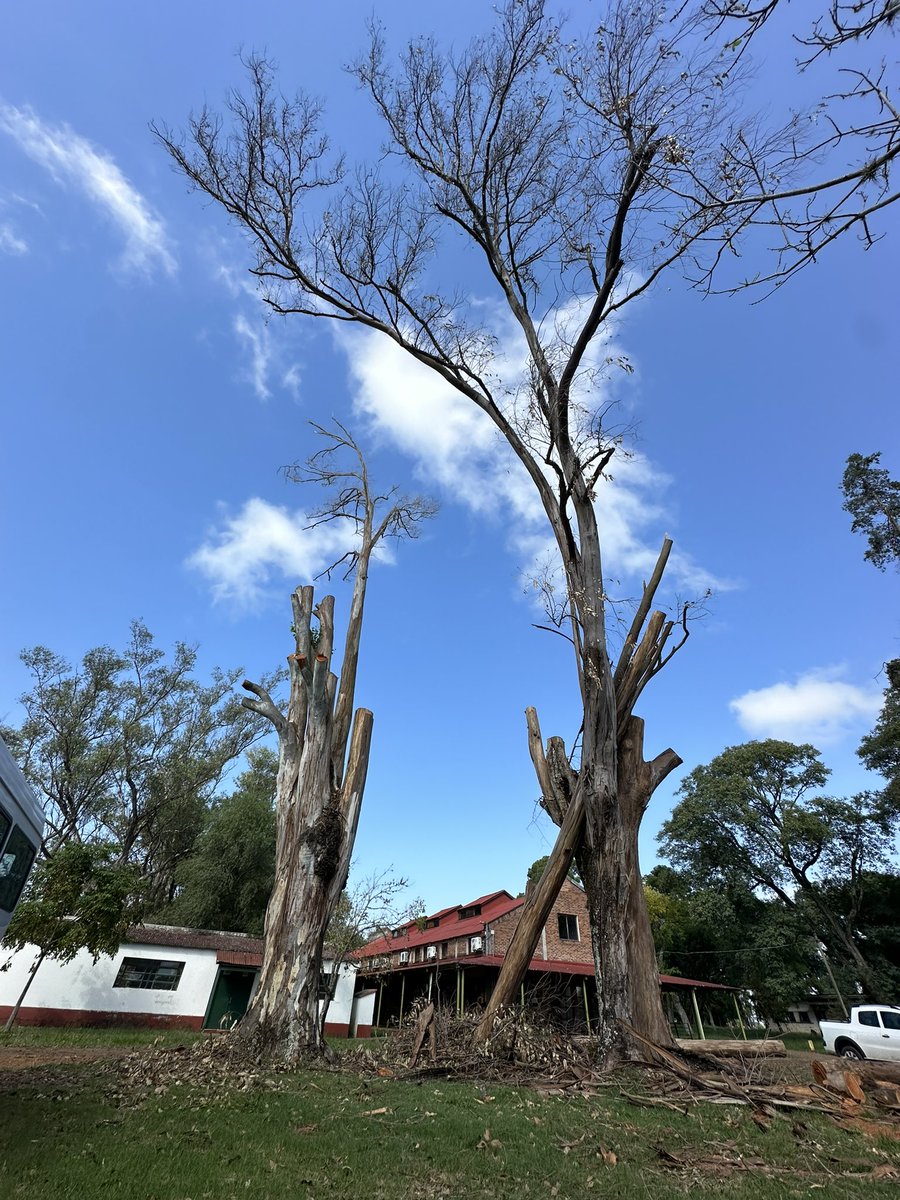 Despidiendo a dos grandes 😢

Los vamos a extrañar en el corazón del casco de la EEFAS

Genera también una oportunidad de renovar ☺️