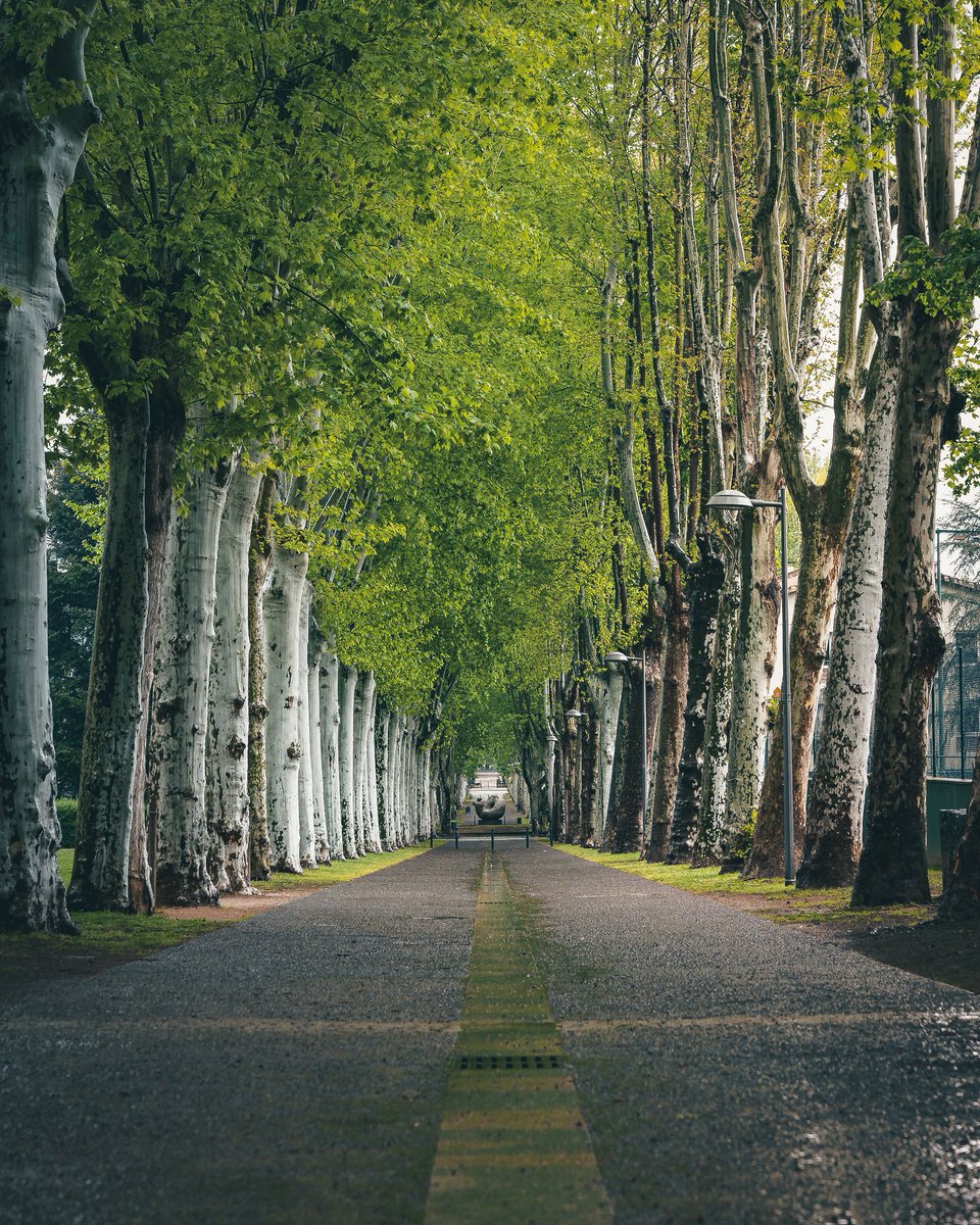 Una altra del matí plujós de diumenge, aquest cop en perspectiva #landscapephotography