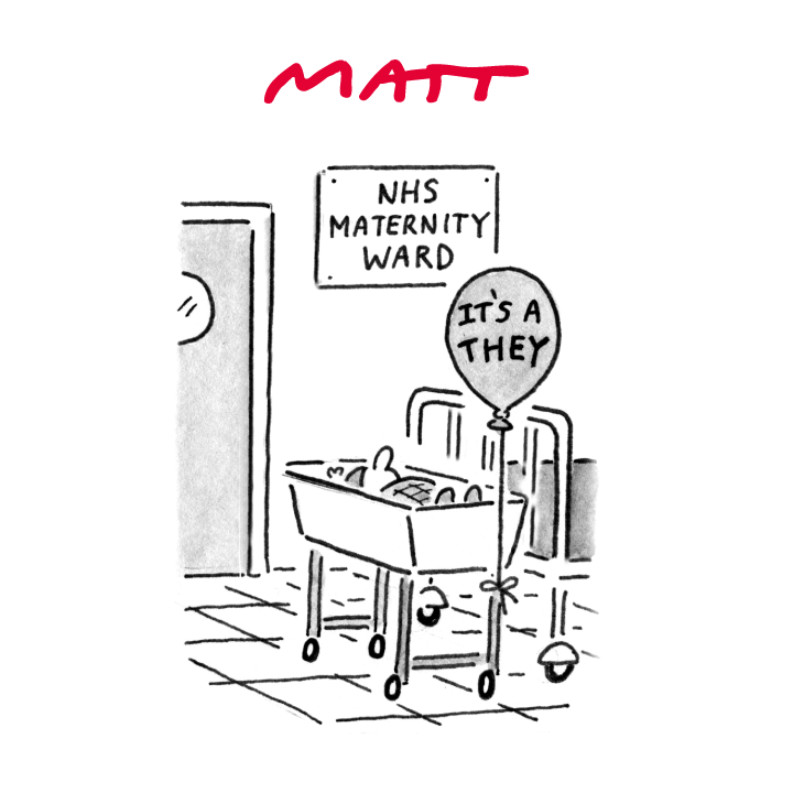 'NHS maternity ward | It's a they' My latest cartoon for tomorrow's @Telegraph Buy a print of my cartoons at telegraph.co.uk/mattprints Original artwork from chrisbeetles.com