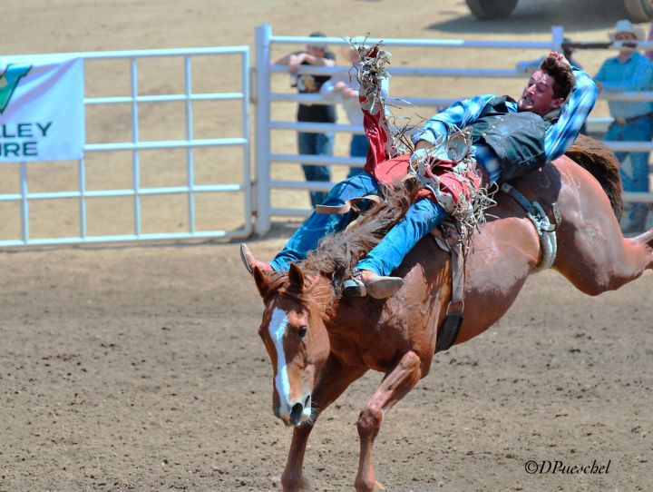 Art of the Day: 'Rodeo Up In The Air Saddle Bronc'. Buy at: ArtPal.com/tdcc2002?i=106…