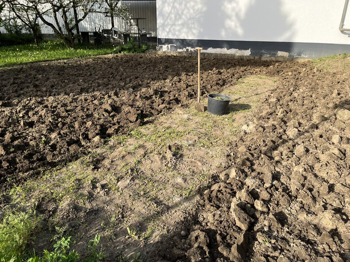 Almost done with digging … 🥵 #gardening