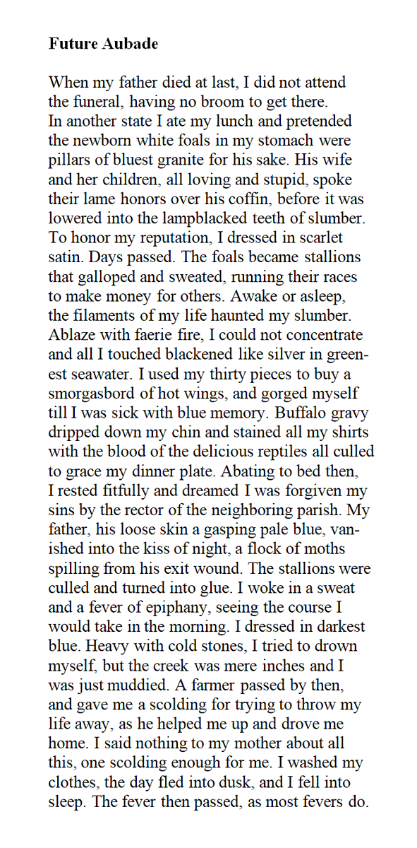 My poem 'Future Aubade' was published by Last Leaves Magazine, in their Issue No. 8! You can read it here (p. 78): lastleavesmag.com/_files/ugd/dcc… 

#poetry #writing #poetsontwitter #writersontwitter #WritingCommunity #PoetryMonth