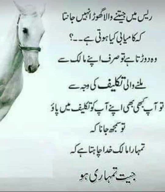 Assalumualikum❤❤
With a beautiful quotes ❣️❤❤