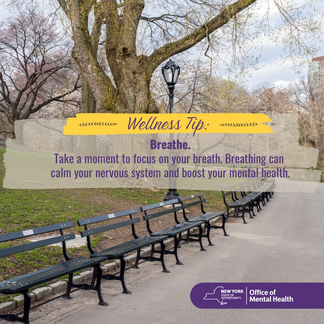 ✨#MentalHealthMonth starts TOMORROW! ✨ Want to learn how breathing can help relieve stress and boost your #mentalwellness? Join us every week for a free, online breathing workshop led by Breath-Body-Mind™. ⏩Register here: ccsi.swoogo.com/Traumainformed… #WellnessTip #TipTuesday