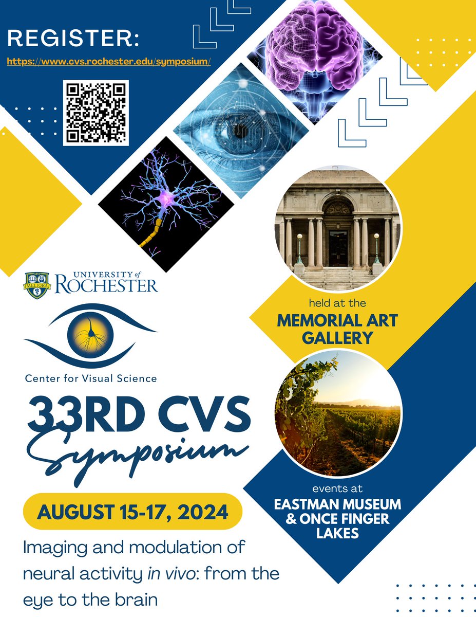 Please RT: Registration is open for the CVS Symposium, 'Imaging and modulation of neural activity in vivo: from the eye to the brain,' held Aug. 15-17, 2024. Register now and submit your abstract: cvs.rochester.edu/symposium/ @UofR @FlaumEye @URNeuroscience @RochesterOptics