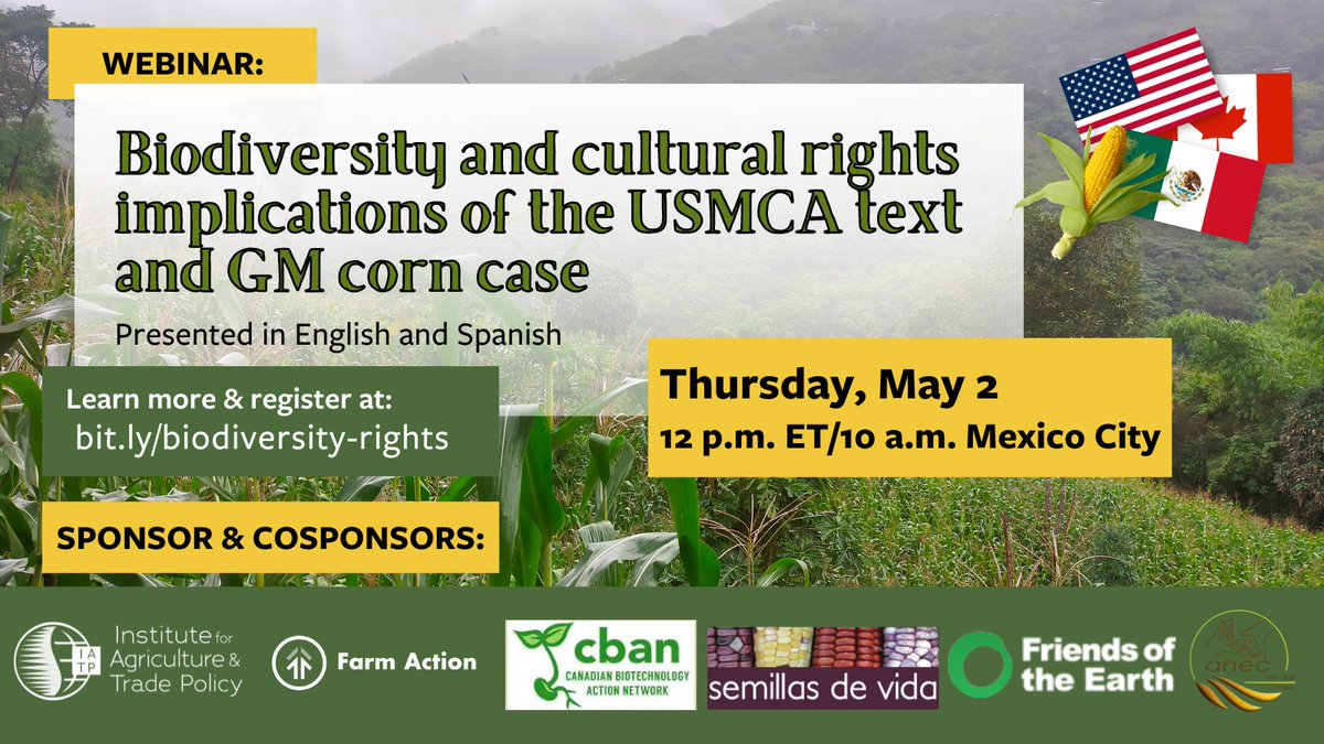 📅THIS THURSDAY (5/2)! Join us for the second webinar in our series on the U.S.-Mexico GM corn dispute, focusing on the biodiversity & Indigenous rights implications of the case, including obligations in USMCA & other international commitments. Register: iatp.org/event/biodiver…