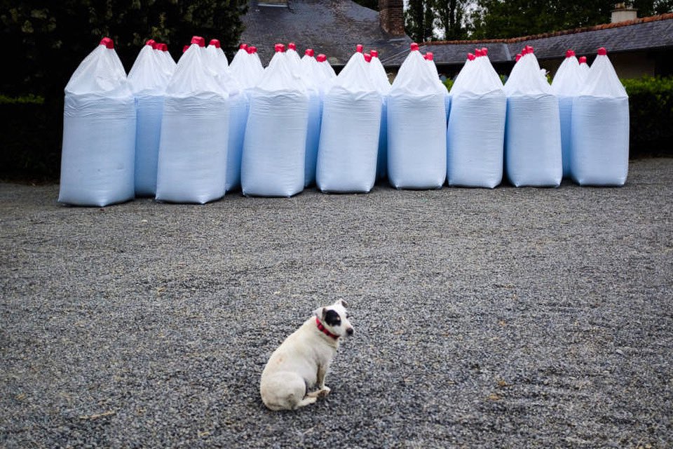 Gardien. #chien #dogoftheday #dogofinstagram #renanperon #agricole #chimie #engrais #ferme #horspanneaux #gardien #milou #photooftheday #photography #photographie #revueepic #banalphotography