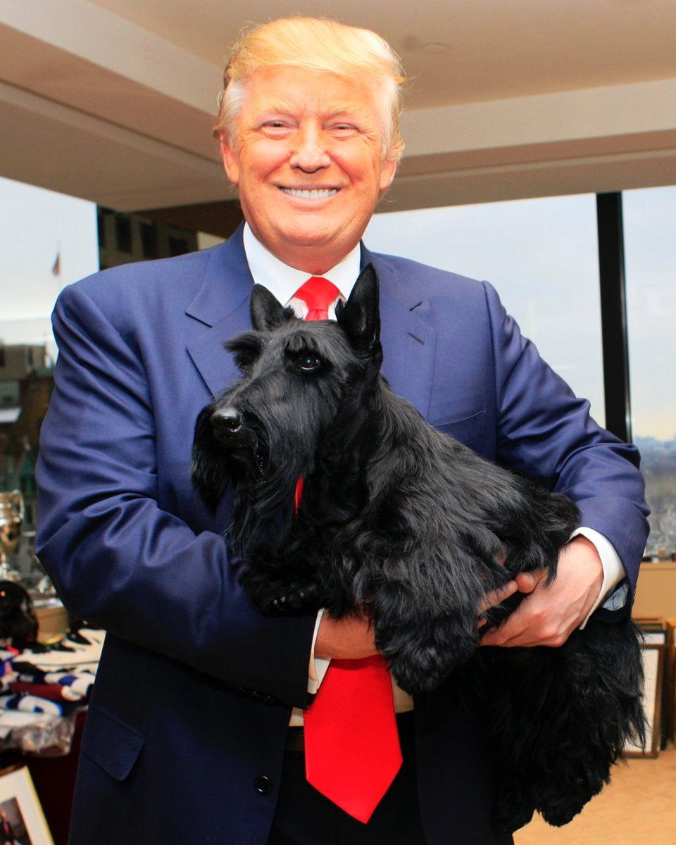 Rightful President Trump protected cats and dogs and deported animals like MS-13 by the thousands. Be like President Trump.