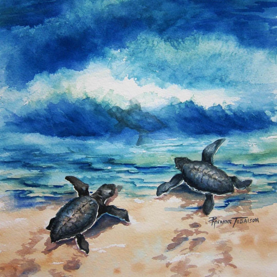 Baby #Sea #Turtle #Watercolor print 12 x 12 inches by watercolorsNmore turtles sea life etsy.com/listing/269855… #cctag @RTobaison