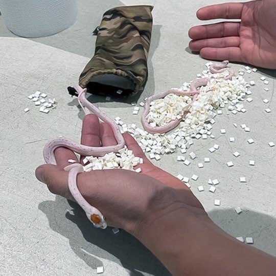 TSA_Southeast tweet picture