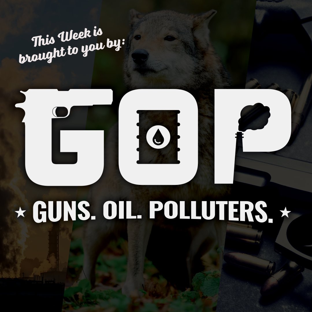 This week, @HouseGOP continue their political crusade in the name of more profits for their favorite industries: Guns. Oil. Polluters. They are: 🐺 delisting gray wolves, 🏞️ giving away our public lands & 💸 making life easier for massive corporations. Americans deserve better.