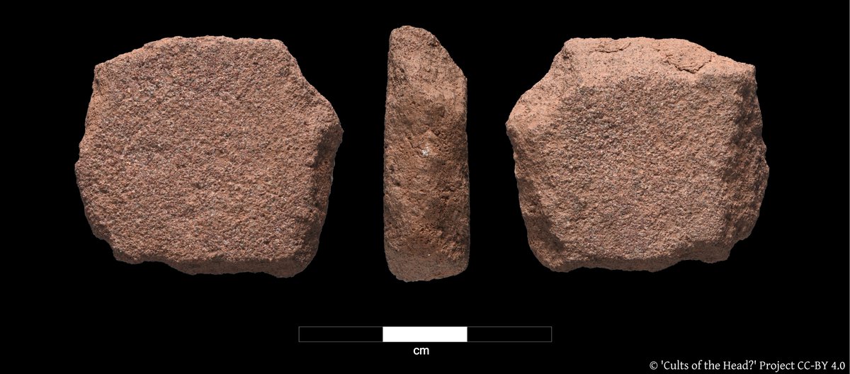 Sometimes it's really hard to see the faces on these heads with 2D imaging alone, so we'll also be using RTI to try and bring out the detail. In the meantime, can you see the face on this head? #FindsFriday