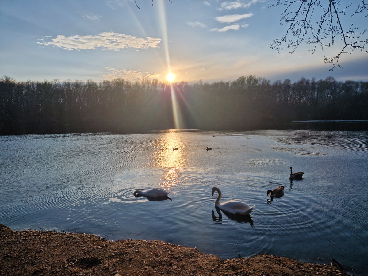 It's nearly #WednesdayWalk time! Come for a lovely spring walk with Ranger Shannon at Kingsbury Water Park tomorrow at 10 am. All ages welcome.

Free to attend, but please book your place via Eventbrite: ow.ly/Nyqw50RsJRI